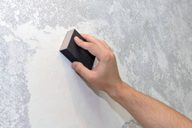 Best Biohazard Mold Removal  in Myersville, MD