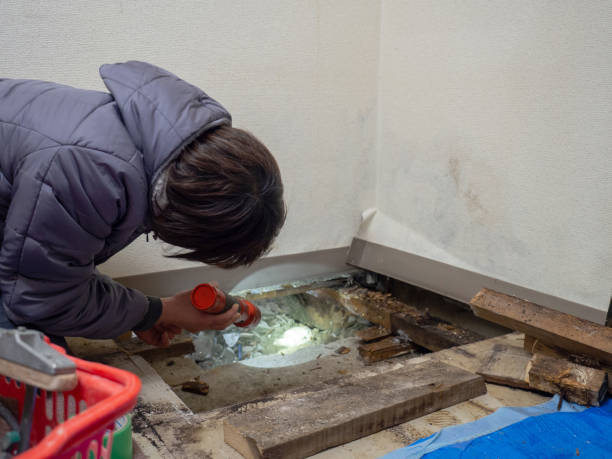 Best Mold Odor Removal Services  in Myersville, MD