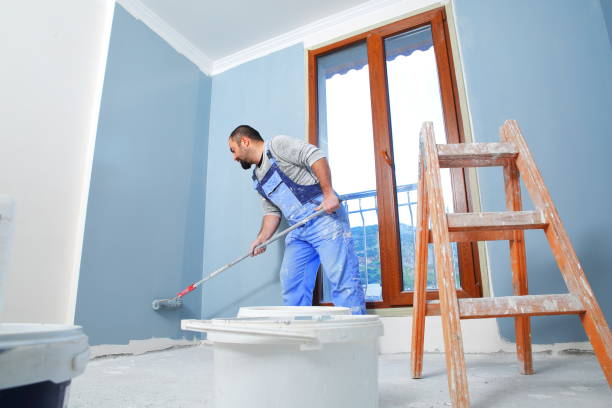 Best Black Mold Removal  in Myersville, MD