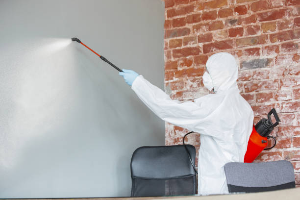 Best HVAC Mold Inspection and Cleaning  in Myersville, MD