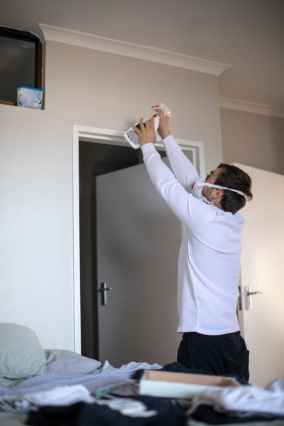 Best Mold Removal for HVAC Installations  in Myersville, MD