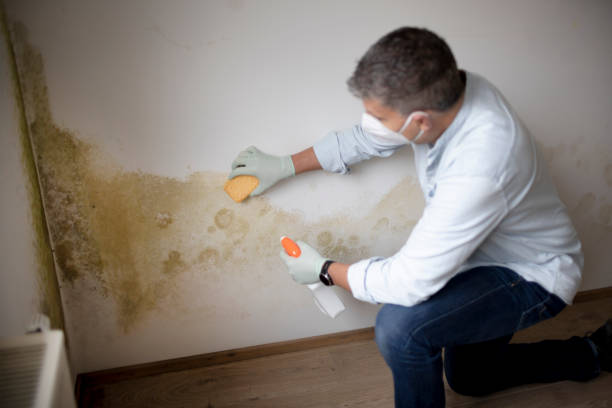 Best Mold Prevention Services  in Myersville, MD
