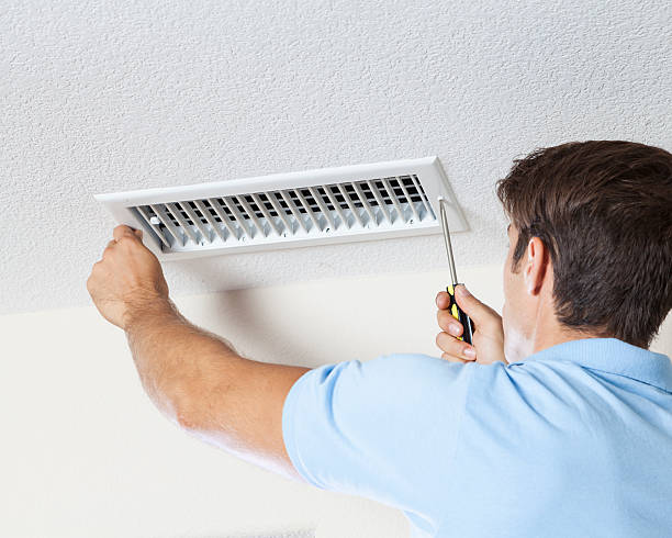 Best Mold-Related Health Consultation  in Myersville, MD