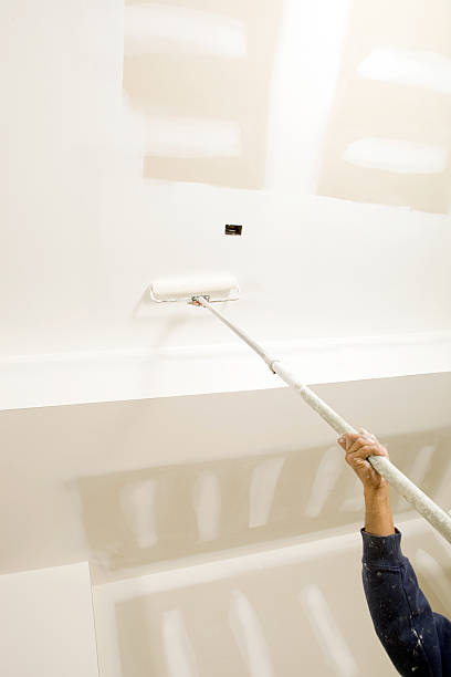 Best Attic Mold Removal  in Myersville, MD