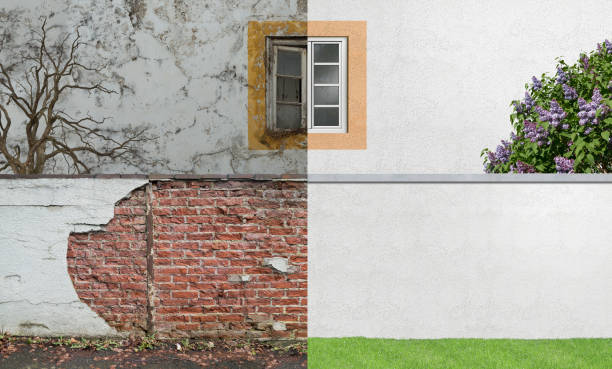 Best Post-Construction Mold Inspection  in Myersville, MD