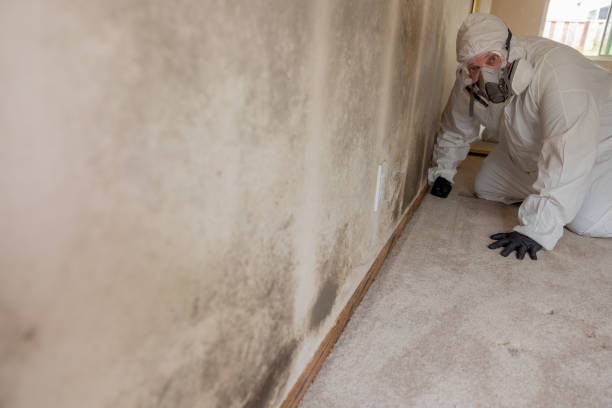 Best Air Quality Testing for Mold Spores  in Myersville, MD