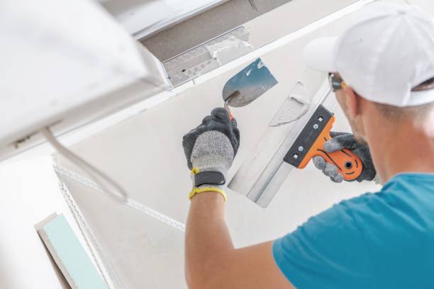 Best Mold Remediation for Vacation Homes  in Myersville, MD